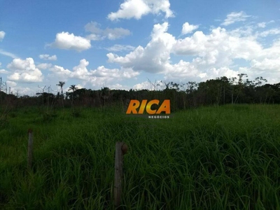 Chácara, 1 quarto, 7 hectares - Foto 2