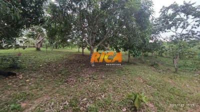 Chácara, 2 quartos, 7000 m² - Foto 3