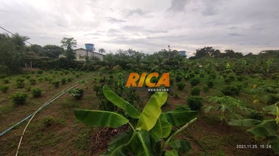 Chácara, 2 quartos, 7000 m² - Foto 5