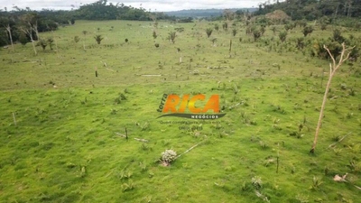 Fazenda-Sítio-Chácara, 170 hectares - Foto 4