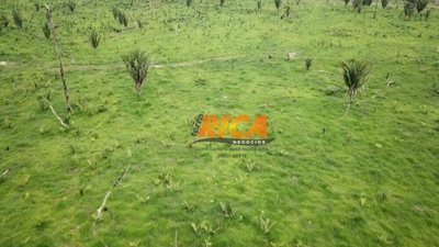 Fazenda-Sítio-Chácara, 170 hectares - Foto 3