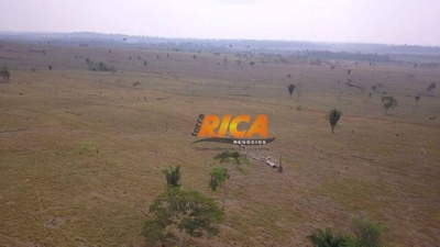 Fazenda-Sítio-Chácara, 671 hectares - Foto 2