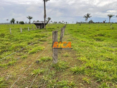 Sítio, 73 hectares - Foto 4