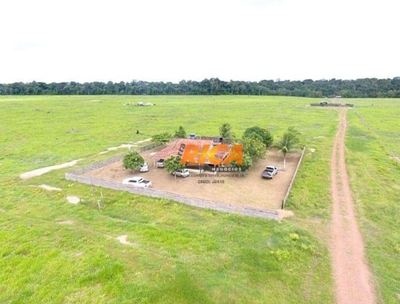Fazenda-Sítio-Chácara, 184 hectares - Foto 4