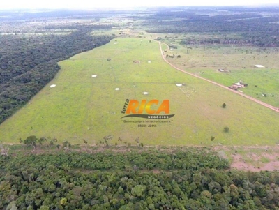 Fazenda-Sítio-Chácara, 184 hectares - Foto 3