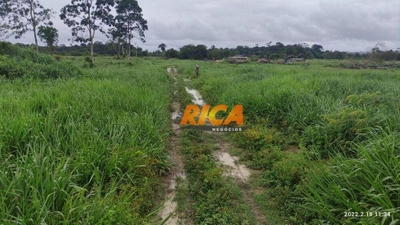 Fazenda-Sítio-Chácara, 120 hectares - Foto 3