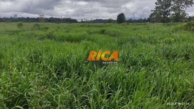 Fazenda-Sítio-Chácara, 120 hectares - Foto 5