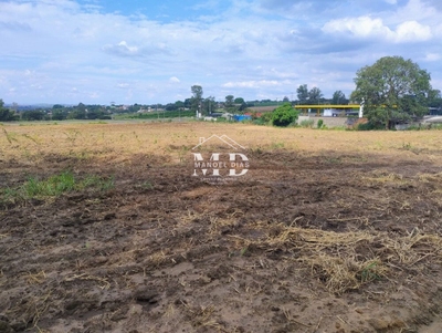 Terreno, 3 hectares - Foto 1