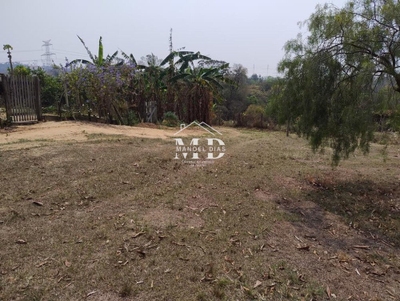 Chácara, 4 quartos, 2 hectares - Foto 2