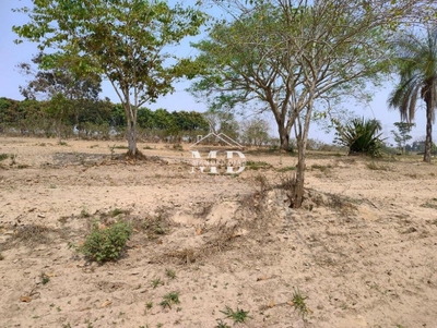 Chácara, 4 quartos, 2 hectares - Foto 5