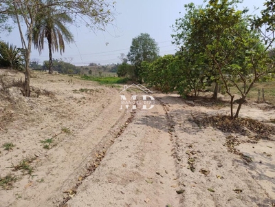 Chácara, 4 quartos, 2 hectares - Foto 5