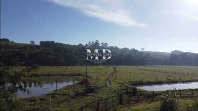 Sítio, 12 hectares - Foto 4