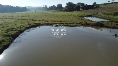 Sítio, 12 hectares - Foto 3