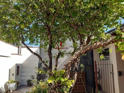 Casa, 3 quartos, 559 m² - Foto 5