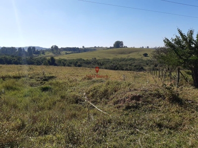 Fazenda-Sítio-Chácara, 2 hectares - Foto 4