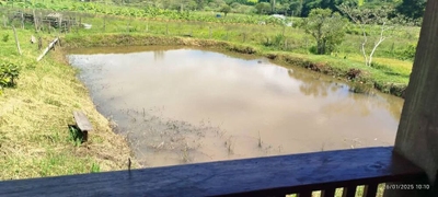 Chácara, 4 quartos, 12 m² - Foto 2