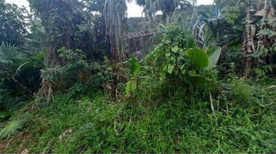 Terreno, 360 m² - Foto 5