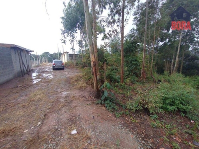 Terreno, 665 m² - Foto 2