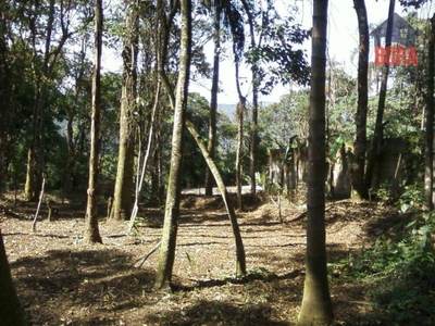 Terreno, 750 m² - Foto 3