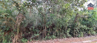 Loteamento e Condomínio, 1250 m² - Foto 3