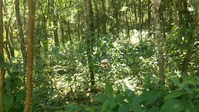 Terreno, 1470 m² - Foto 1