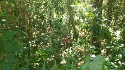 Terreno, 1470 m² - Foto 3