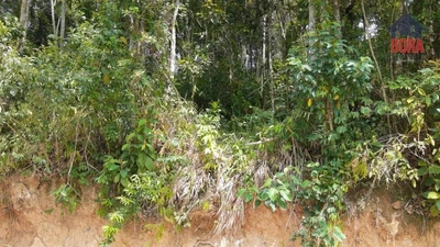 Terreno, 296 m² - Foto 1