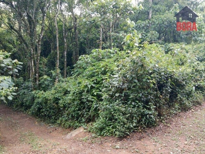 Loteamento e Condomínio, 2800 m² - Foto 1