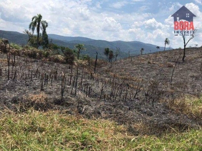 Terreno, 7000 m² - Foto 5