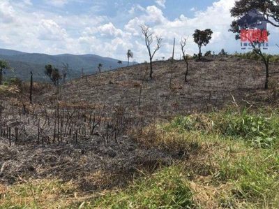 Terreno, 7000 m² - Foto 3