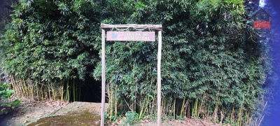 Terreno, 1000 m² - Foto 4