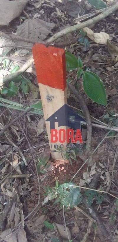 Loteamento e Condomínio, 1522 m² - Foto 3