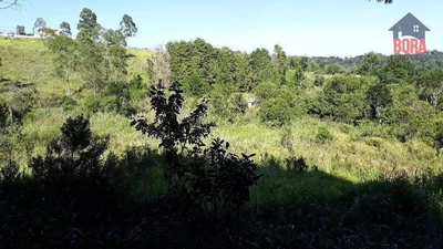 Terreno, 1075 m² - Foto 2