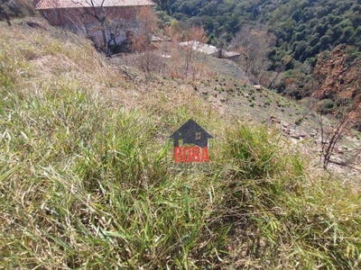 Terreno, 5000 m² - Foto 2