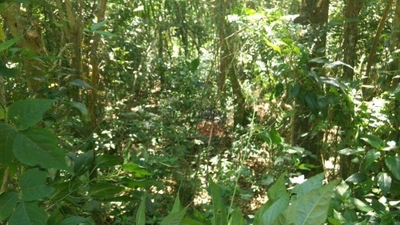 Loteamento e Condomínio, 2800 m² - Foto 4