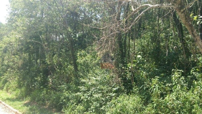 Loteamento e Condomínio, 2800 m² - Foto 1