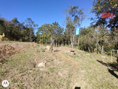 Terreno, 6000 m² - Foto 3