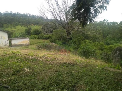 Terreno, 4 hectares - Foto 3