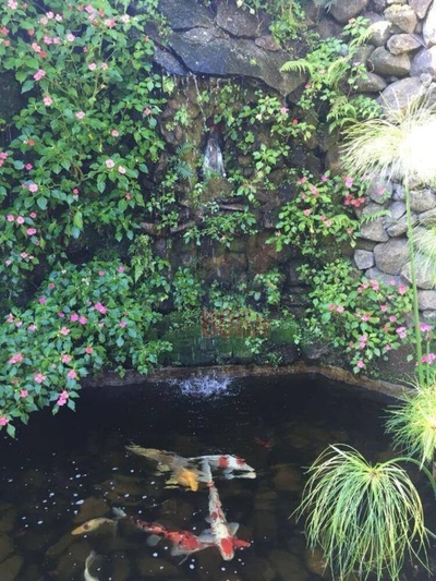 Chácara, 3 quartos, 2490 m² - Foto 4