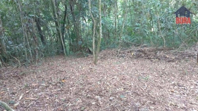 Terreno, 5000 m² - Foto 1