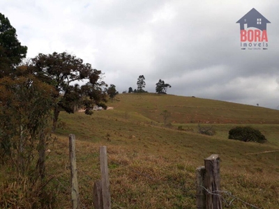 Sítio, 17 hectares - Foto 4