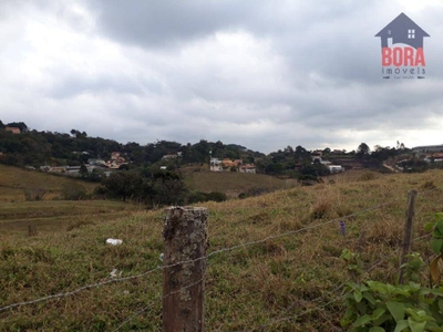 Sítio, 17 hectares - Foto 3