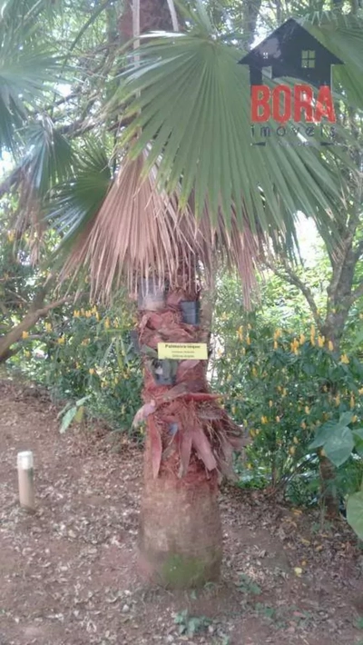 Casa, 6 quartos, 500 m² - Foto 4