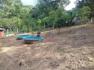 Chácara, 2 quartos, 1000 m² - Foto 5