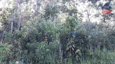 Terreno, 1012 m² - Foto 2