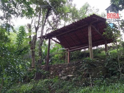 Chácara, 3 quartos, 4500 m² - Foto 2