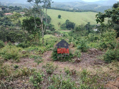 Sítio, 9 hectares - Foto 3