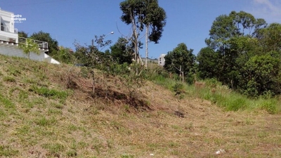 Terreno, 589 m² - Foto 4