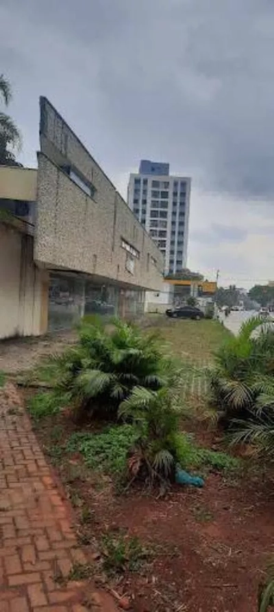 Loja-Salão, 209 m² - Foto 3