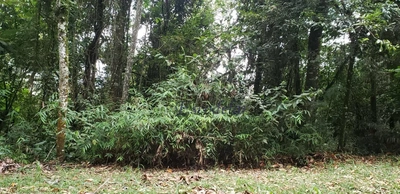 Loteamento e Condomínio, 1448 m² - Foto 2